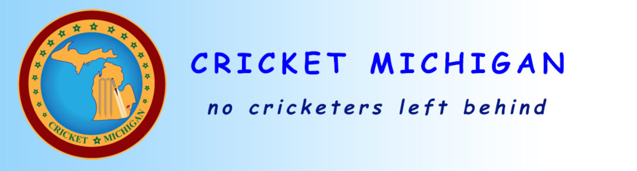 Cricket Michigan