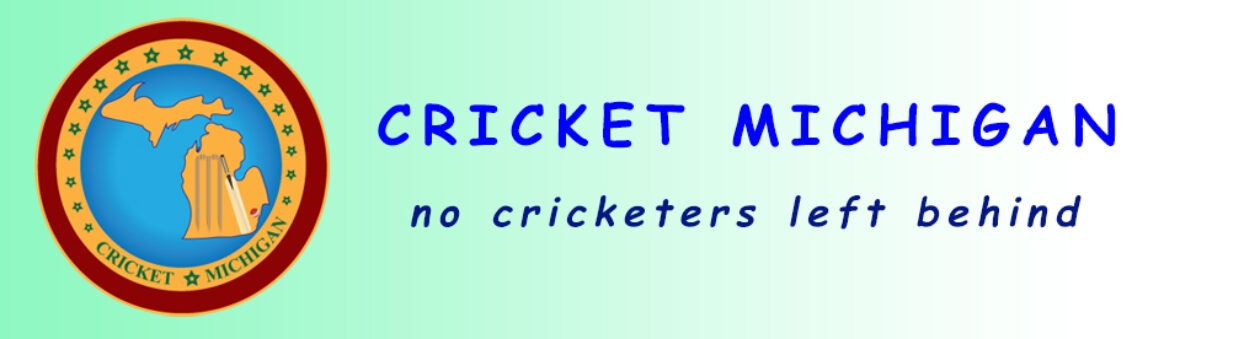 Cricket Michigan