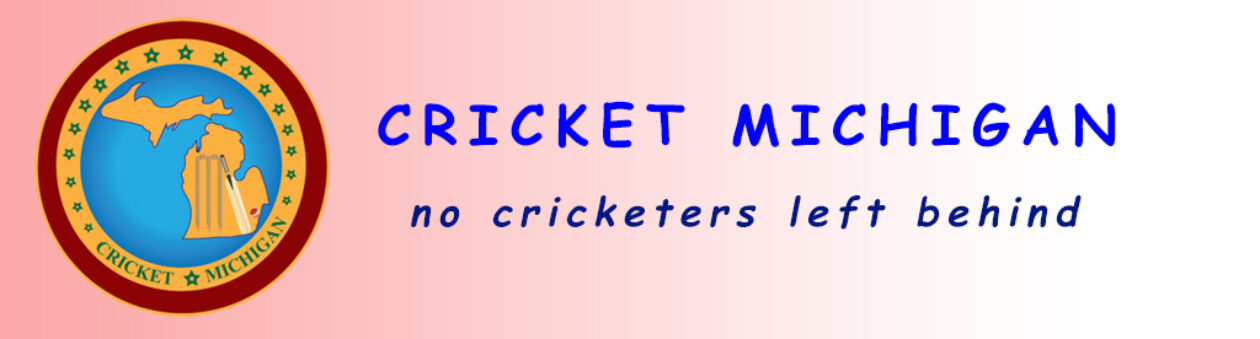 Cricket Michigan