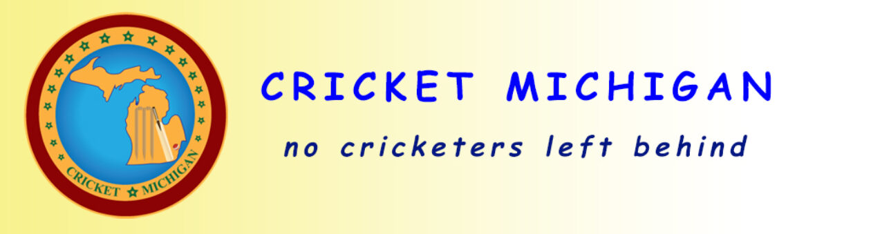 Cricket Michigan